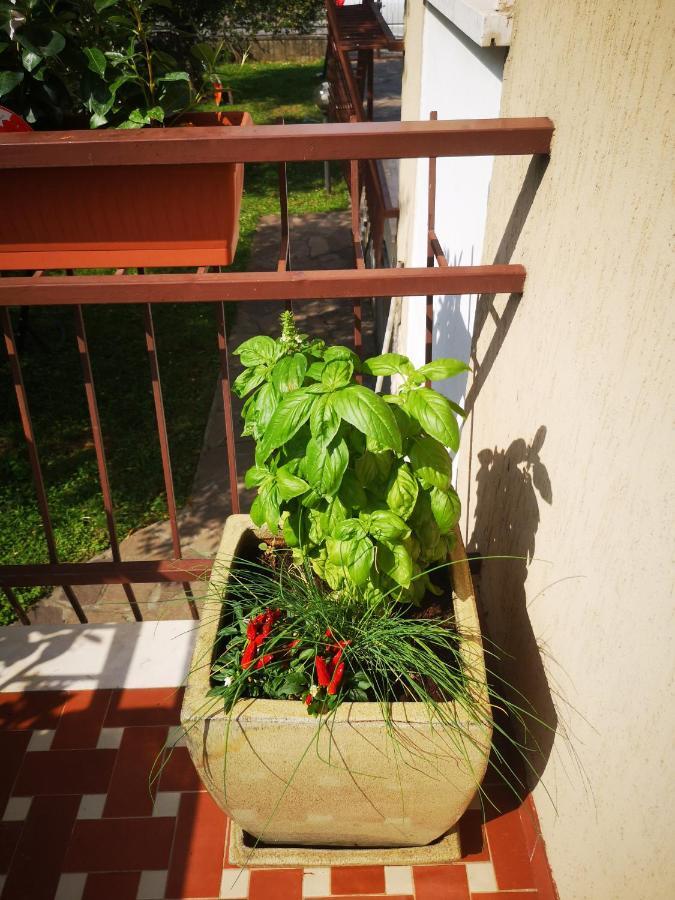 Ai Quattro Ulivi Appartement *