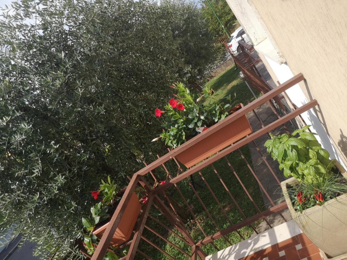 Ai Quattro Ulivi Appartement *