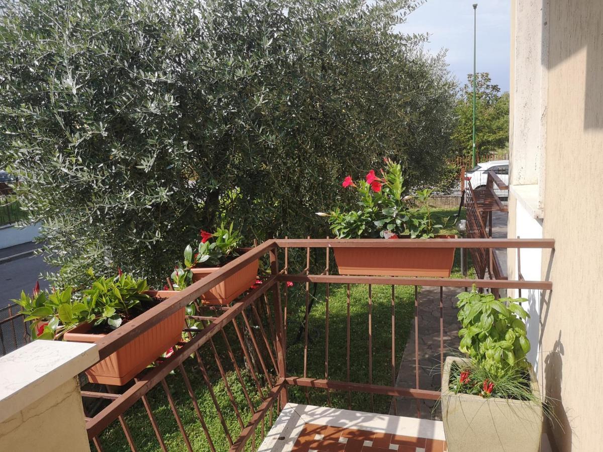 Ai Quattro Ulivi * Peschiera del Garda
